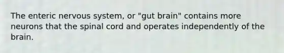 The enteric nervous system, or "gut brain" contains more neurons that the spinal cord and operates independently of the brain.