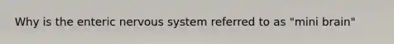 Why is the enteric nervous system referred to as "mini brain"