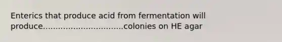 Enterics that produce acid from fermentation will produce................................colonies on HE agar