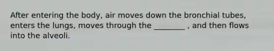After entering the body, air moves down the bronchial tubes, enters the lungs, moves through the ________ , and then flows into the alveoli.