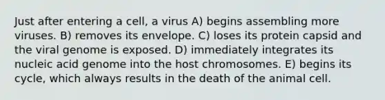 Just after entering a cell, a virus A) begins assembling more viruses. B) removes its envelope. C) loses its protein capsid and the viral genome is exposed. D) immediately integrates its nucleic acid genome into the host chromosomes. E) begins its cycle, which always results in the death of the animal cell.