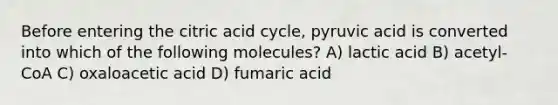 Before entering the citric acid cycle, pyruvic acid is converted into which of the following molecules? A) lactic acid B) acetyl-CoA C) oxaloacetic acid D) fumaric acid