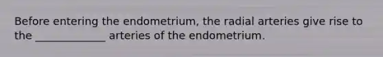 Before entering the endometrium, the radial arteries give rise to the _____________ arteries of the endometrium.