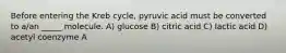 Before entering the Kreb cycle, pyruvic acid must be converted to a/an _____ molecule. A) glucose B) citric acid C) lactic acid D) acetyl coenzyme A