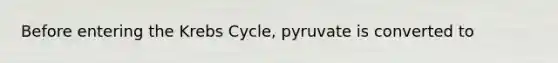 Before entering the Krebs Cycle, pyruvate is converted to