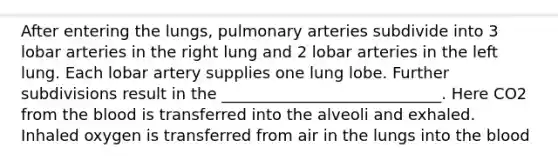 After entering the lungs, pulmonary arteries subdivide into 3 lobar arteries in the right lung and 2 lobar arteries in the left lung. Each lobar artery supplies one lung lobe. Further subdivisions result in the ____________________________. Here CO2 from the blood is transferred into the alveoli and exhaled. Inhaled oxygen is transferred from air in the lungs into the blood