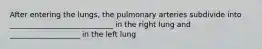 After entering the lungs, the pulmonary arteries subdivide into ____________________________ in the right lung and ___________________ in the left lung