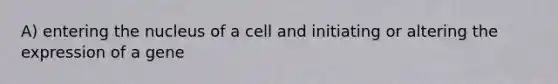 A) entering the nucleus of a cell and initiating or altering the expression of a gene