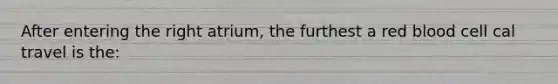 After entering the right atrium, the furthest a red blood cell cal travel is the: