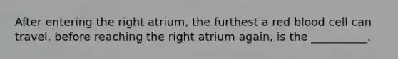 After entering the right atrium, the furthest a red blood cell can travel, before reaching the right atrium again, is the __________.