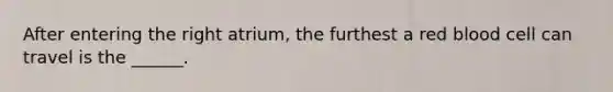 After entering the right atrium, the furthest a red blood cell can travel is the ______.