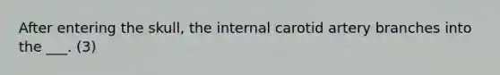 After entering the skull, the internal carotid artery branches into the ___. (3)