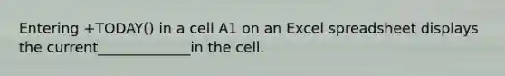 Entering +TODAY() in a cell A1 on an Excel spreadsheet displays the current_____________in the cell.