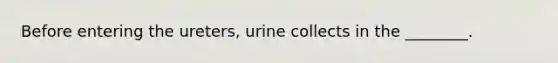 Before entering the ureters, urine collects in the ________.