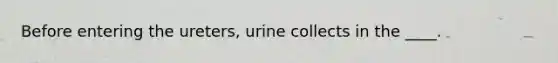 Before entering the ureters, urine collects in the ____.