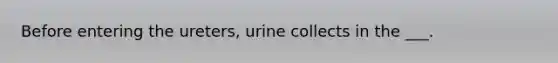 Before entering the ureters, urine collects in the ___.