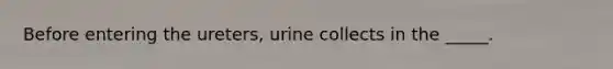 Before entering the ureters, urine collects in the _____.