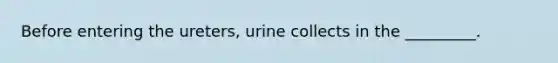 Before entering the ureters, urine collects in the _________.