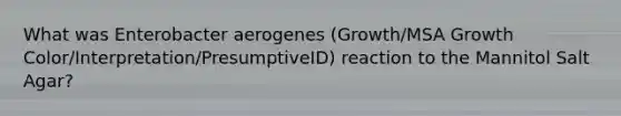 What was Enterobacter aerogenes (Growth/MSA Growth Color/Interpretation/PresumptiveID) reaction to the Mannitol Salt Agar?