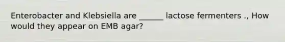 Enterobacter and Klebsiella are ______ lactose fermenters ., How would they appear on EMB agar?