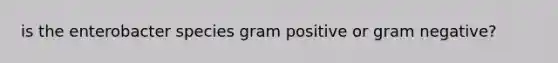 is the enterobacter species gram positive or gram negative?