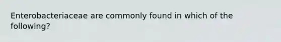 Enterobacteriaceae are commonly found in which of the following?