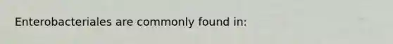 Enterobacteriales are commonly found in: