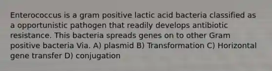 Enterococcus is a gram positive lactic acid bacteria classified as a opportunistic pathogen that readily develops antibiotic resistance. This bacteria spreads genes on to other Gram positive bacteria Via. A) plasmid B) Transformation C) Horizontal gene transfer D) conjugation