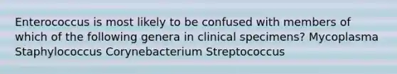 Enterococcus is most likely to be confused with members of which of the following genera in clinical specimens? Mycoplasma Staphylococcus Corynebacterium Streptococcus