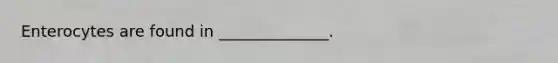 Enterocytes are found in ______________.