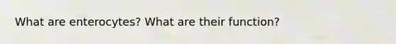 What are enterocytes? What are their function?