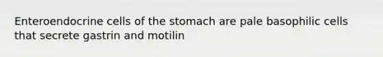 Enteroendocrine cells of the stomach are pale basophilic cells that secrete gastrin and motilin