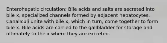 Enterohepatic circulation: Bile acids and salts are secreted into bile x, specialized channels formed by adjacent hepatocytes. Canaliculi unite with bile x, which in turn, come together to form bile x. Bile acids are carried to the gallbladder for storage and ultimately to the x where they are excreted.