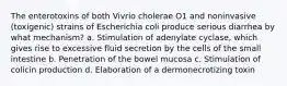 The enterotoxins of both Vivrio cholerae O1 and noninvasive (toxigenic) strains of Escherichia coli produce serious diarrhea by what mechanism? a. Stimulation of adenylate cyclase, which gives rise to excessive fluid secretion by the cells of the small intestine b. Penetration of the bowel mucosa c. Stimulation of colicin production d. Elaboration of a dermonecrotizing toxin