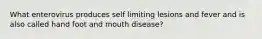 What enterovirus produces self limiting lesions and fever and is also called hand foot and mouth disease?