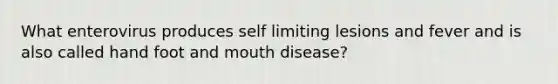 What enterovirus produces self limiting lesions and fever and is also called hand foot and mouth disease?