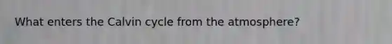 What enters the Calvin cycle from the atmosphere?