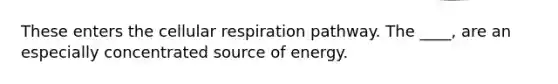 These enters the <a href='https://www.questionai.com/knowledge/k1IqNYBAJw-cellular-respiration' class='anchor-knowledge'>cellular respiration</a> pathway. The ____, are an especially concentrated source of energy.