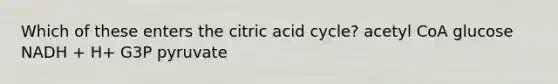 Which of these enters the citric acid cycle? acetyl CoA glucose NADH + H+ G3P pyruvate