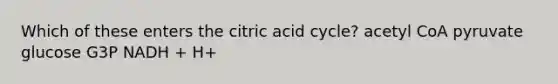 Which of these enters the citric acid cycle? acetyl CoA pyruvate glucose G3P NADH + H+