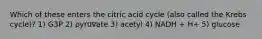 Which of these enters the citric acid cycle (also called the Krebs cycle)? 1) G3P 2) pyruvate 3) acetyl 4) NADH + H+ 5) glucose