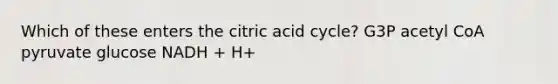 Which of these enters the citric acid cycle? G3P acetyl CoA pyruvate glucose NADH + H+