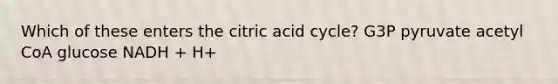 Which of these enters the citric acid cycle? G3P pyruvate acetyl CoA glucose NADH + H+