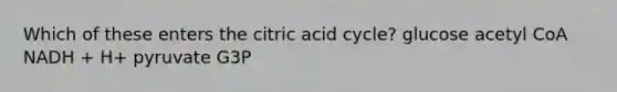 Which of these enters the citric acid cycle? glucose acetyl CoA NADH + H+ pyruvate G3P