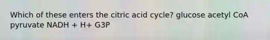 Which of these enters the citric acid cycle? glucose acetyl CoA pyruvate NADH + H+ G3P