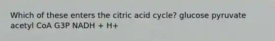 Which of these enters the citric acid cycle? glucose pyruvate acetyl CoA G3P NADH + H+