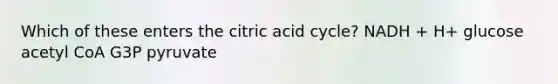 Which of these enters the citric acid cycle? NADH + H+ glucose acetyl CoA G3P pyruvate