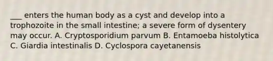 ___ enters the human body as a cyst and develop into a trophozoite in the small intestine; a severe form of dysentery may occur. A. Cryptosporidium parvum B. Entamoeba histolytica C. Giardia intestinalis D. Cyclospora cayetanensis