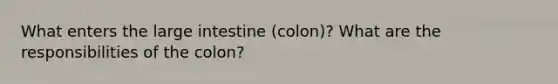 What enters the large intestine (colon)? What are the responsibilities of the colon?