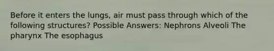 Before it enters the lungs, air must pass through which of the following structures? Possible Answers: Nephrons Alveoli <a href='https://www.questionai.com/knowledge/ktW97n6hGJ-the-pharynx' class='anchor-knowledge'>the pharynx</a> <a href='https://www.questionai.com/knowledge/kSjVhaa9qF-the-esophagus' class='anchor-knowledge'>the esophagus</a>